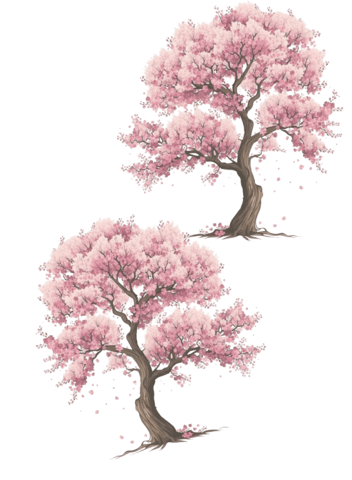 Sakura Right